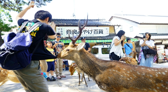 君子動(dòng)口不動(dòng)手 攝影/爾冬