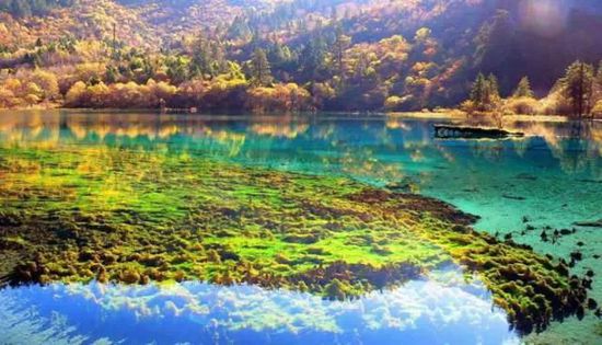 門票那么貴 沒法玩耍了！