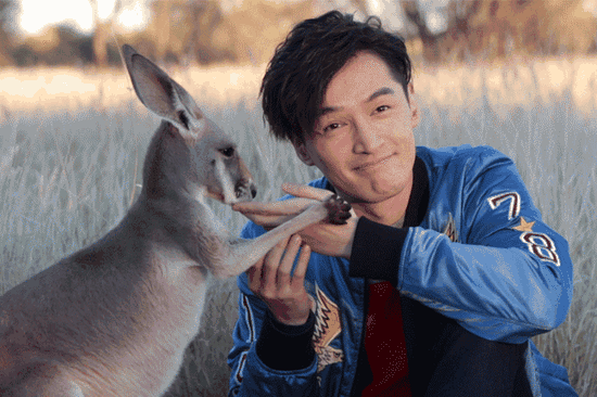 小袋鼠還有親到胡歌喲！