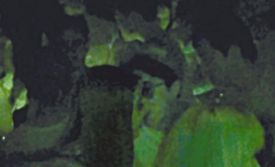 房祖名去年被港媒直擊在中環(huán)夜店與長發(fā)妞互動曖昧，女生正是Nana