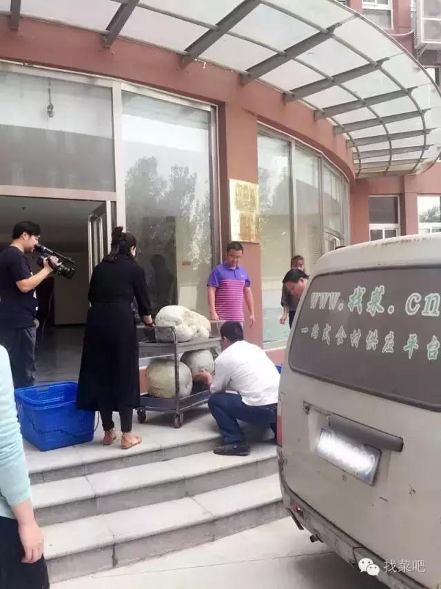 找菜網(wǎng)認購百萬斤冬瓜，解農(nóng)戶燃眉之急