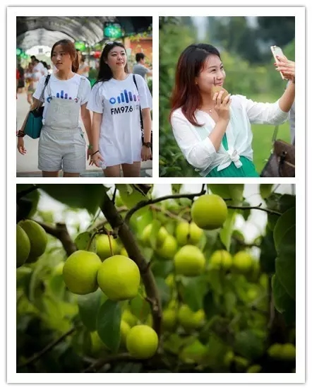 美女與香梨，你更愛哪一個(gè)？！