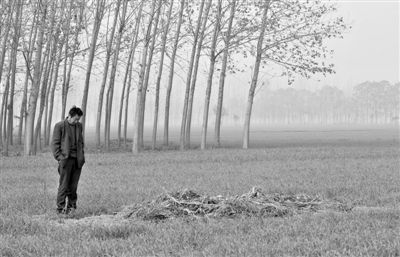 11月21日，高松中站在腦癱雙胞胎兒子墳前。