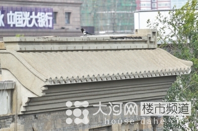 鄭州花園路“飛機樓”也要拆？去留引發(fā)關(guān)注