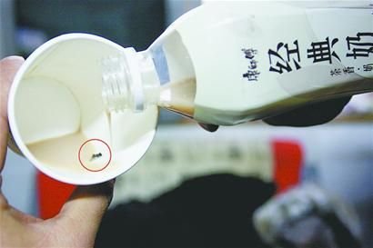 田先生喝的經(jīng)典奶茶中有一只蒼蠅。