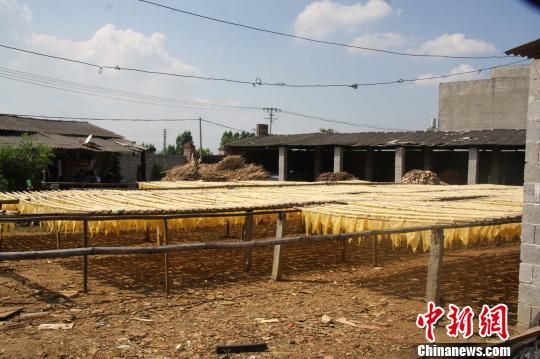 警方查處地下腐竹生產(chǎn)窩點(diǎn)照片 （圖片來源：中國新聞網(wǎng) 王正祥 攝  ）