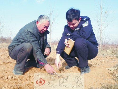 牡丹苗被盜之后，郭萬通又補種的牡丹苗已經(jīng)發(fā)芽