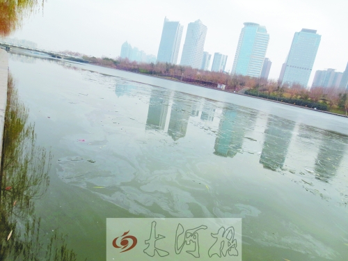 如意湖湖面上現(xiàn)在還漂著一層油污 如意湖湖面上現(xiàn)在還漂著一層油污