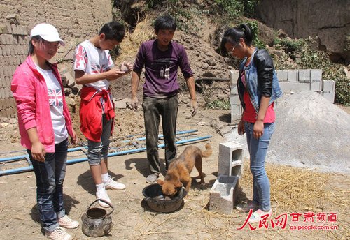 渴壞了的小黃狗在喝水。王生元/攝