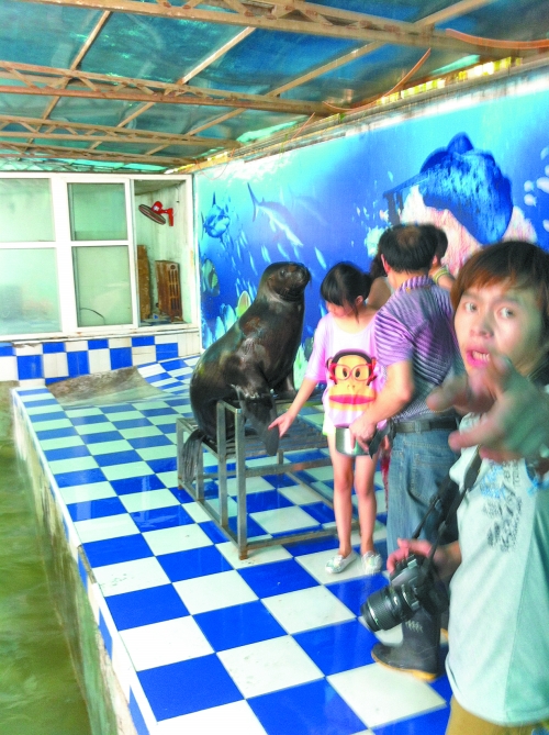 海獅館內的攝影師警惕性很高,禁止記者拍照。
