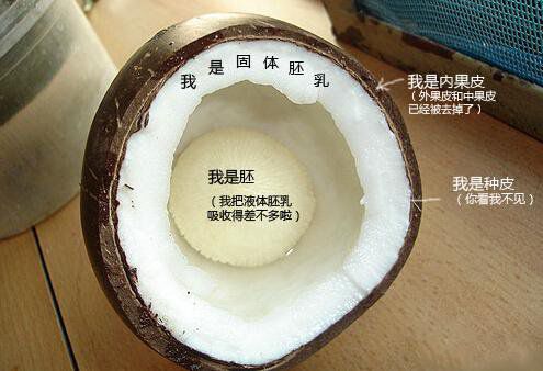 你在甜品店常吃的東西，到底都是啥？