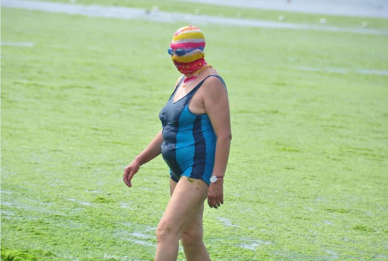 2013年7月3日，山東青島青島高溫來襲，“青島大媽”不懼滸苔，戴著“強(qiáng)盜面具”出現(xiàn)在海水浴場(chǎng)消暑降