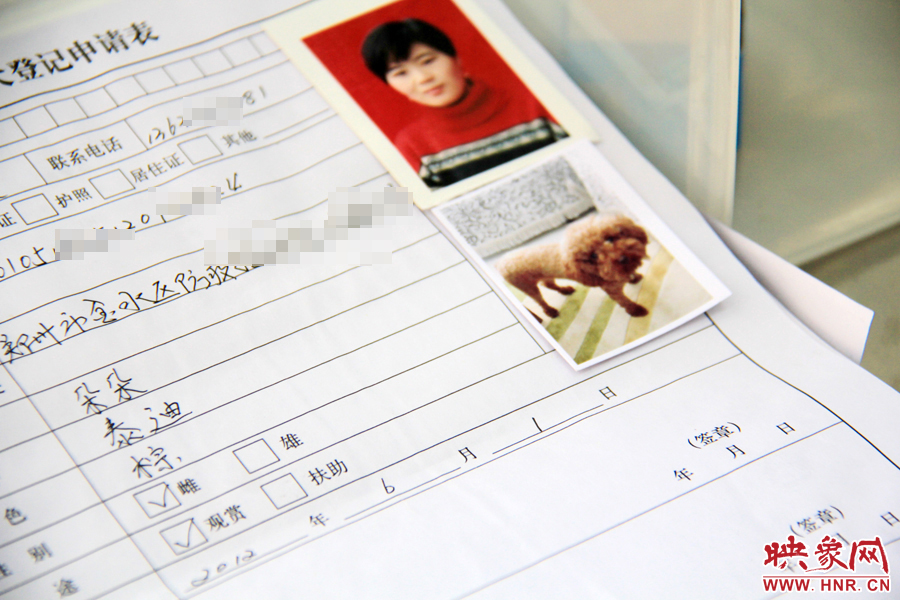 辦理狗證，需要填寫申請表