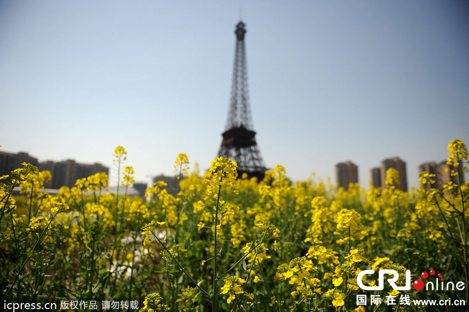 　2014年3月21日，杭州天都城，農(nóng)民在山寨埃菲爾鐵塔下耕作。圖片來源：東方IC