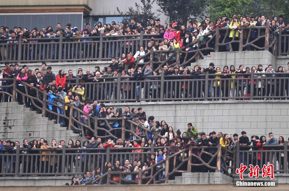 重慶上萬粉絲在南濱路等待《奔跑吧兄弟》節(jié)目的錄制。
