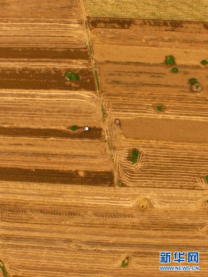 這是5月28日在河南省南陽市唐河縣甘河灣村航拍的麥收現(xiàn)場。