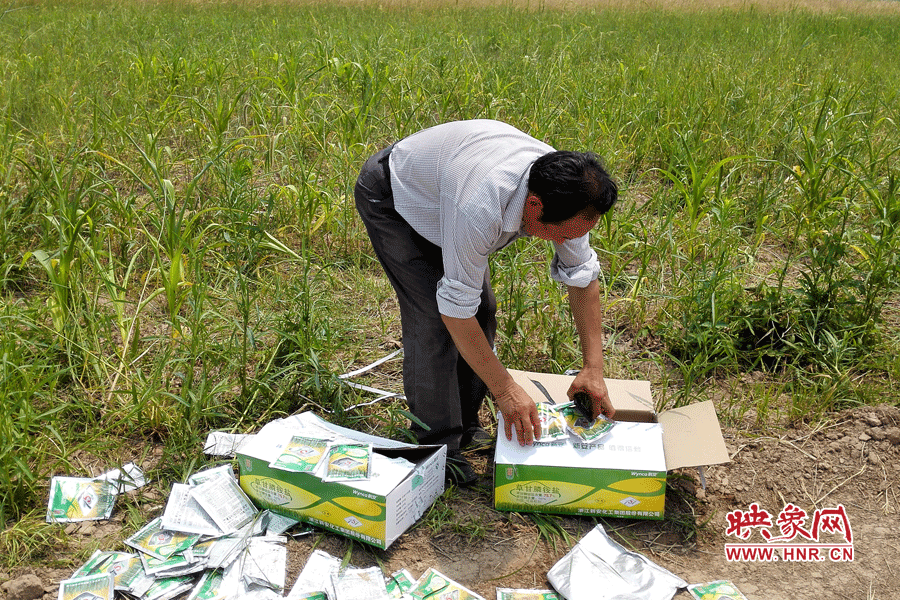 村民察看摧毀玉米的農(nóng)藥。