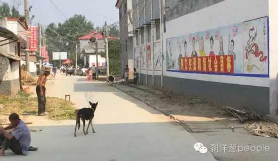 孫莊村一角。新京報記者安鐘汝 攝