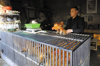 南京另一家農(nóng)貿(mào)市場內(nèi)待售的活雞。因南京出現(xiàn)H7N9禽流病例，買活雞的顧客減少。