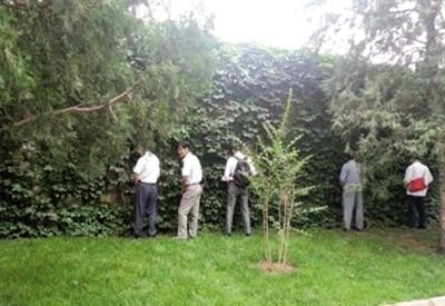 6月30日，頤和園內(nèi)綠地上，多名游客在小解。 網(wǎng)友“攝影老鬼” 攝