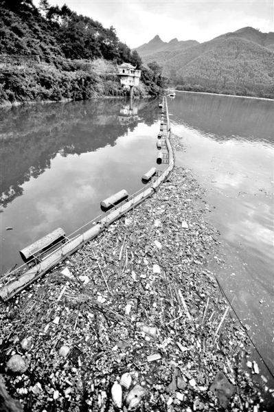 7月7日，廣西賀州市賀江合面獅段被污染的水域。據(jù)新華社