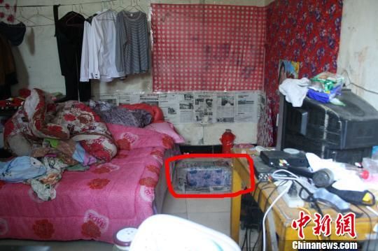 圖上紅圈內(nèi)為嫌犯所挖地窖入口。 吳佳蔚 攝