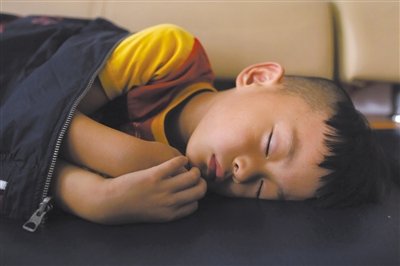 9月6日，等待錄制節(jié)目的多多躺在沙發(fā)上熟睡。新京報(bào)記者 侯少卿 攝