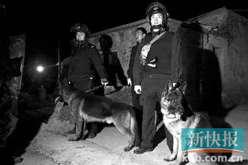 緝毒犬協(xié)助警方搜查毒品。