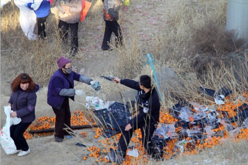 蘭州貨車側(cè)翻橘子遭百余村民哄搶，警察拔槍制止