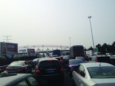 收費(fèi)站前長(zhǎng)長(zhǎng)排隊(duì)的車(chē)輛。陳郁