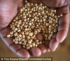 超強厄爾尼諾將引發(fā)全球極端天氣，中國北方或極端高溫-