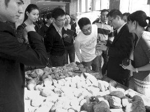 前段時(shí)間，夫子廟古玩城舉行的一場賭石活動(dòng)，吸引了不少人參與