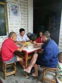 掃水掃不及，胥家鎮(zhèn)柏河村的居民干脆打起了麻將。