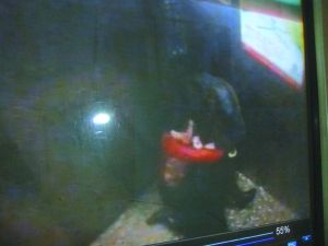 男子將侯某撲倒，侯某反抗。