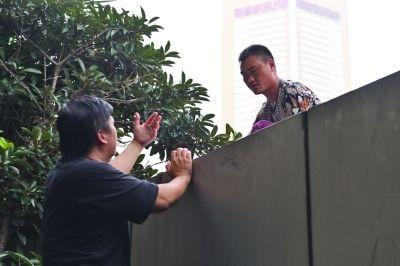 黃主任站在獨(dú)木樁上與男子交談了近半小時。