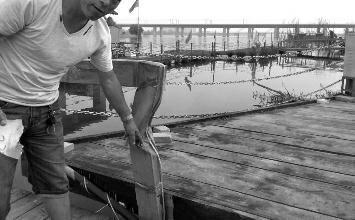 鼻孔里凝著血痂、全身多處擦傷的周先生仍有些驚魂未定。