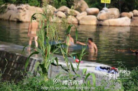 網(wǎng)友曝光的現(xiàn)場圖片。（圖片來自網(wǎng)絡(luò)）