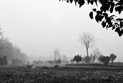 3月26日上午8點,鄭大新校區(qū),濃濃的霧霾埋沒了大好春景。