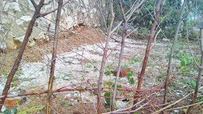 林州兩天內出現(xiàn)了兩次冰雹