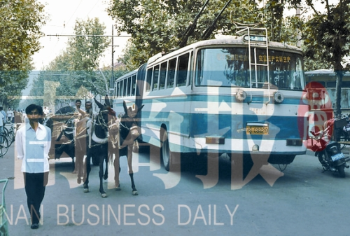 當(dāng)年的伏牛路，驢車和公交車并行