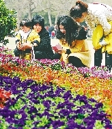 近距離才能拍得更真切。