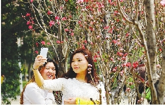 市民在公園與花合影。