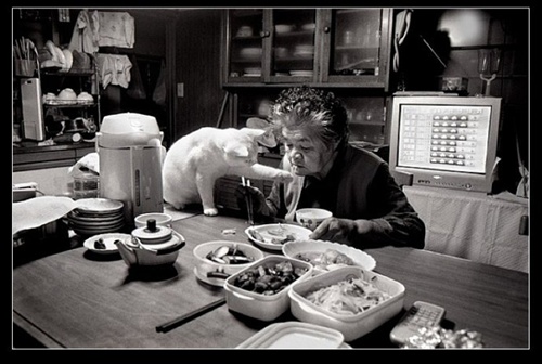 進(jìn)食 祖母與貓的溫情世界 進(jìn)食 祖母與貓的溫情世界