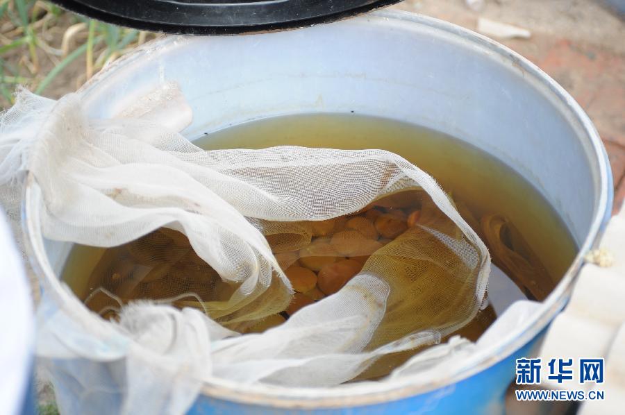 地下水成“綠茶”　污染二十多年該誰(shuí)治？