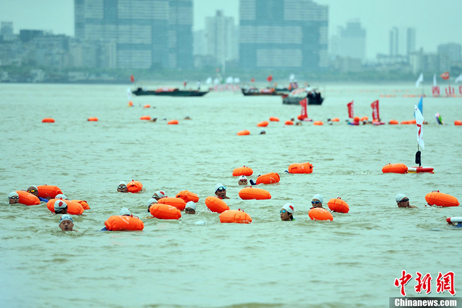 圖為江面上的橫渡方隊(duì)里的選手們劈波斬浪。中新社發(fā) 張暢 攝