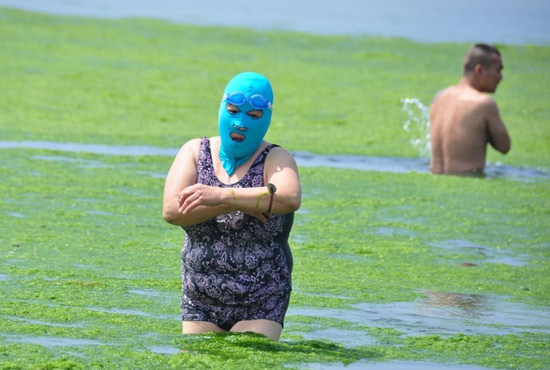 2013年7月3日，山東青島青島高溫來襲，“青島大媽”不懼滸苔，戴著“強(qiáng)盜面具”出現(xiàn)在海水浴場消暑降