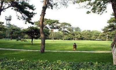 釣魚(yú)臺(tái)國(guó)賓館草坪