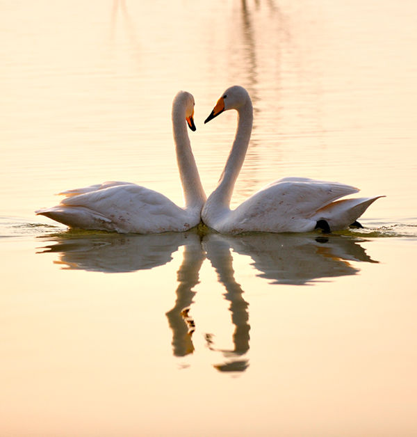 2014春節(jié)出游 河南最適宜四大景區(qū) 2014春節(jié)出游 河南最適宜四大景區(qū)