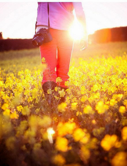 如何拍攝油菜花？達(dá)人教你7個(gè)拍攝技巧