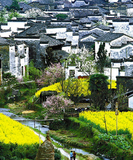 如何拍攝油菜花？達(dá)人教你7個(gè)拍攝技巧